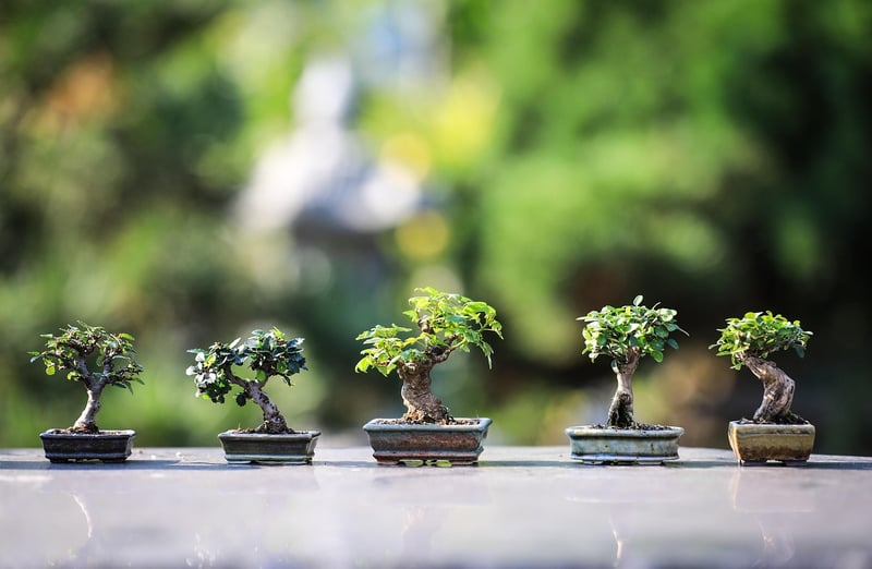 Fairy Garden Terrarium